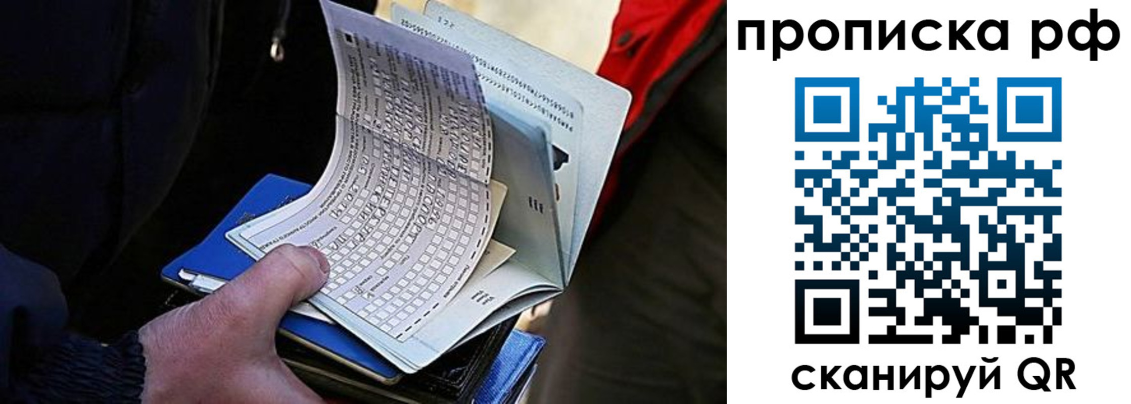 найти адрес прописки в Выборге